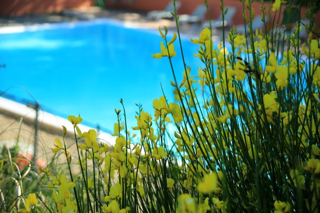 Holiday park La Colline Des Ocres Village De 3 Etoiles Apt